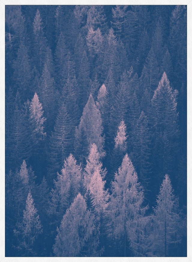 Forest Pink and Blue Print