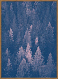 Forest Pink and Blue Print