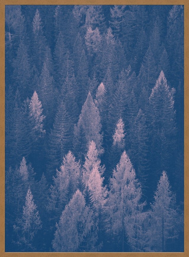 Forest Pink and Blue Print