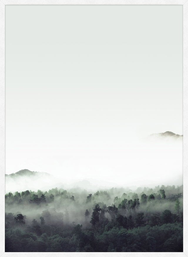Forest Print