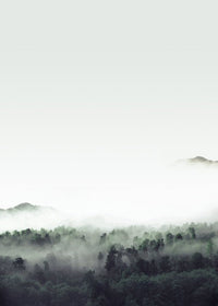 Forest Print