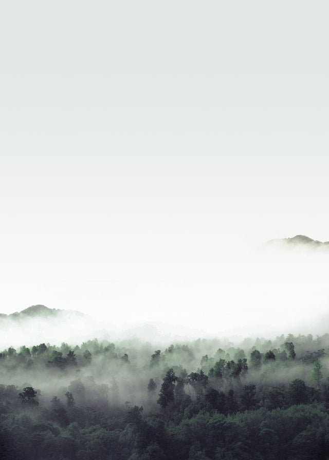 Forest Print