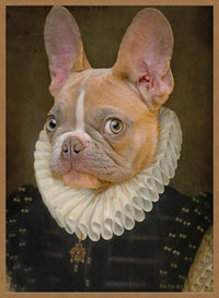 French Bulldog Portrait Print