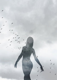 Girl With Birds Print