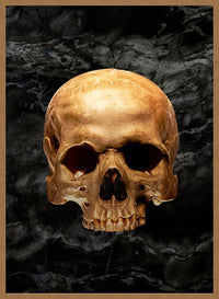 Gold Skull Marble Print