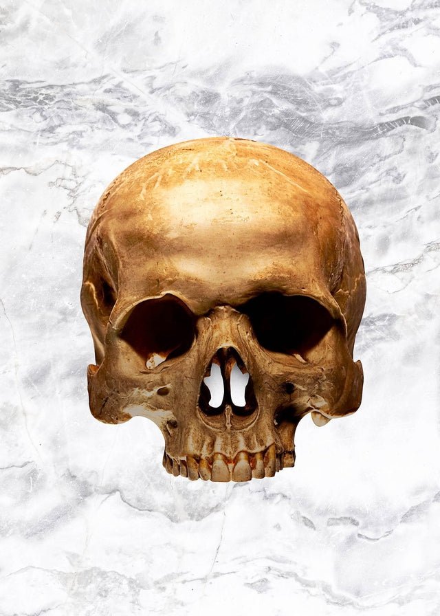 Gold Skull Marble Print White