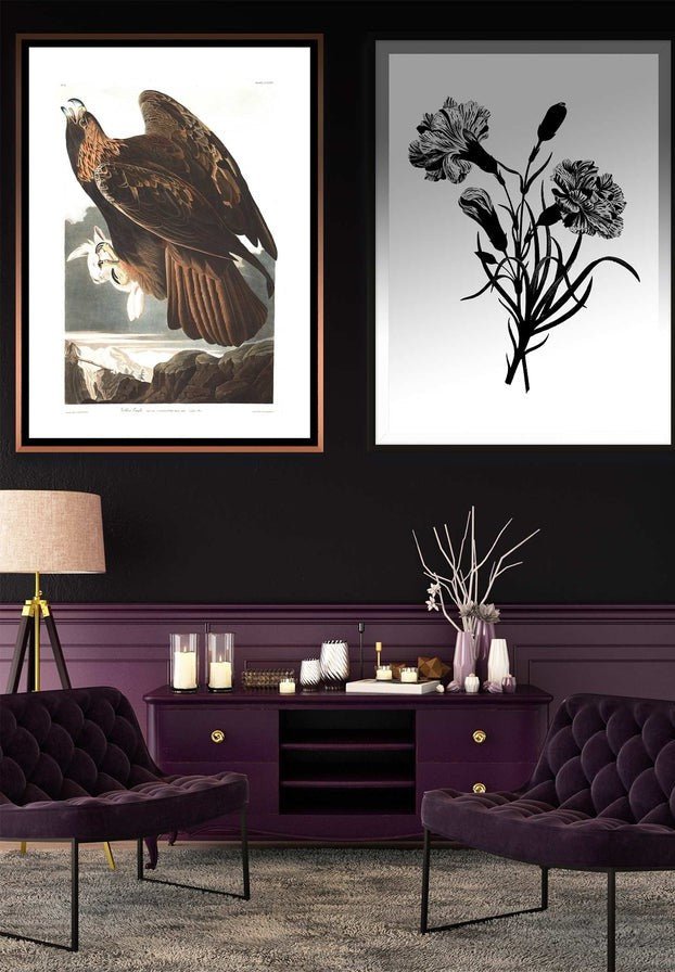 Golden Eagle Vintage Antique Bird Print