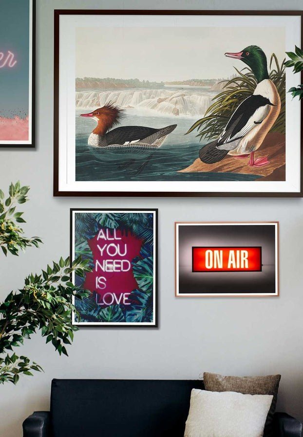 Goosanders Vintage Bird Print