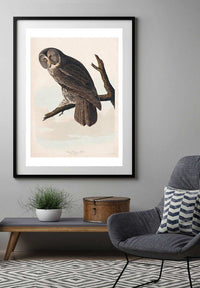 Great Owl Vintage Bird Print