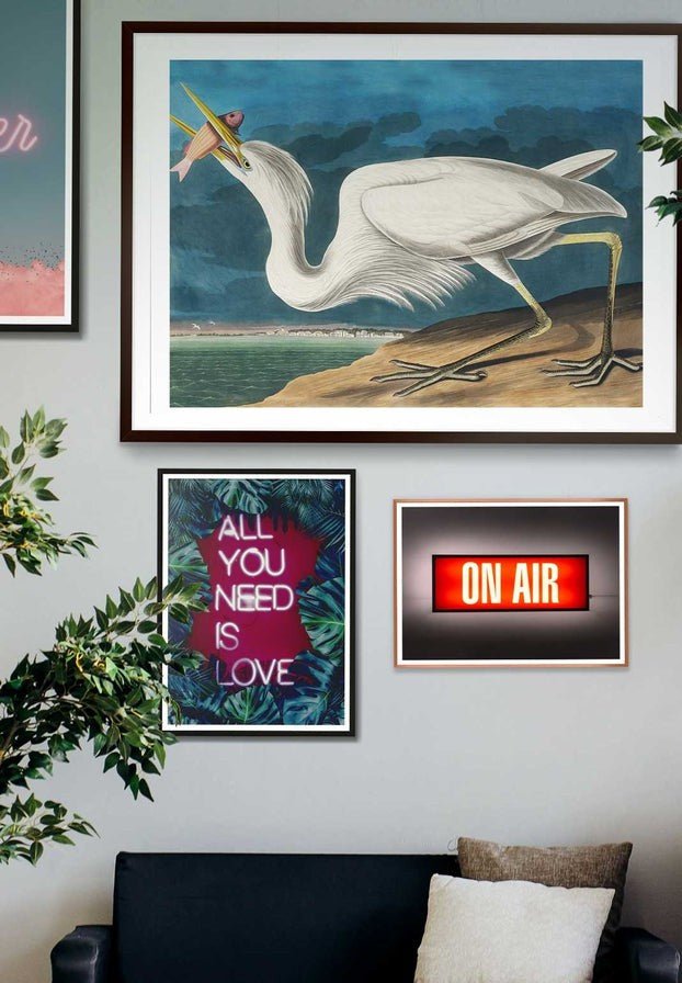 Great White Heron Vintage Bird Print