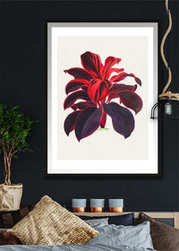 Hand drawn Hawaiian Ti plant print