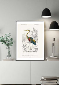 Heron Vintage Bird Print