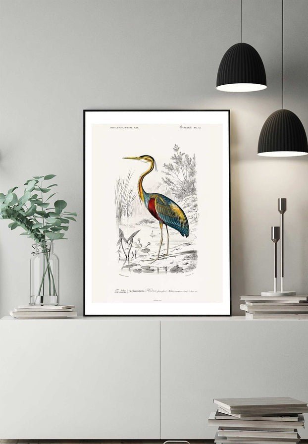 Heron Vintage Bird Print