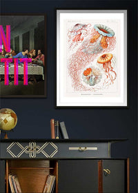 Jellyfish Illustration Vintage Print