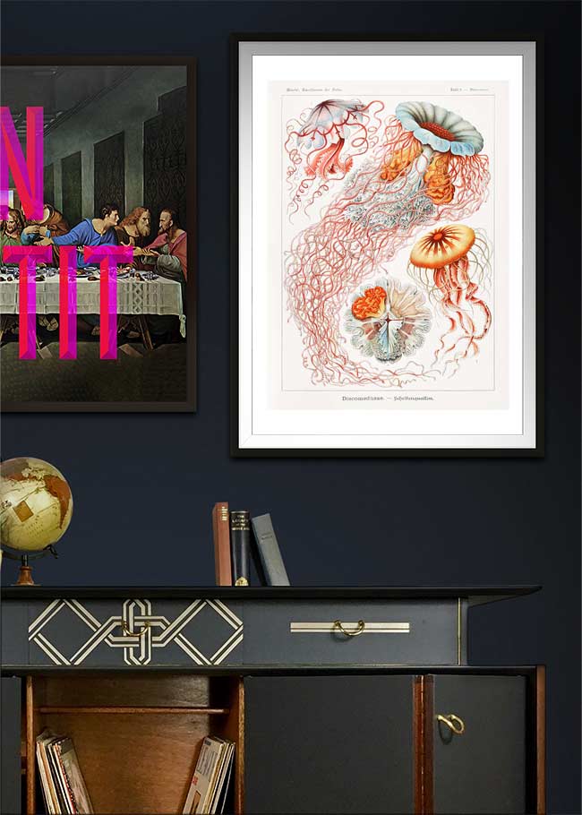 Jellyfish Illustration Vintage Print