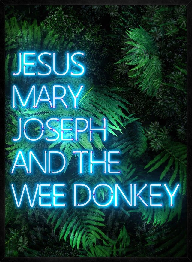 Jesus Mary Joseph Wee Donkey TV Quote Print