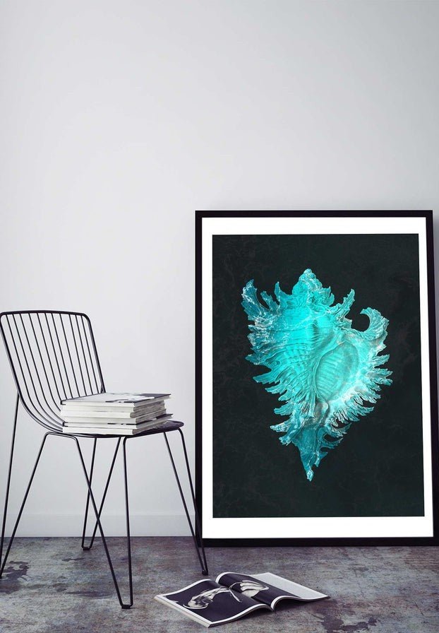 Large Conch Sea Shell Blue Antique Print