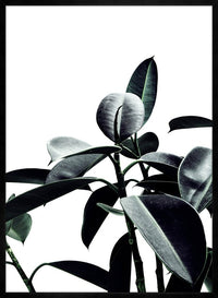 Leaves Print