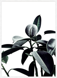 Leaves Print