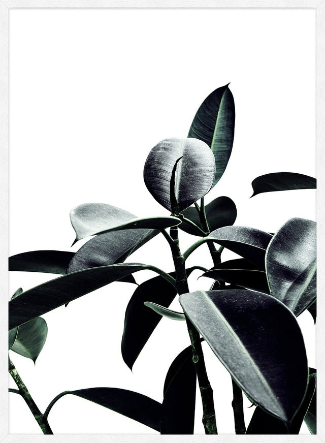 Leaves Print