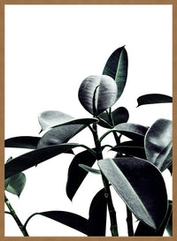 Leaves Print