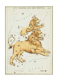 Leo Major And Leo Minor Astrology Antique Print