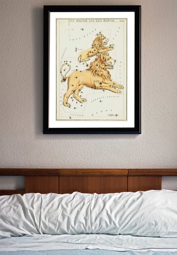 Leo Major And Leo Minor Astrology Antique Print