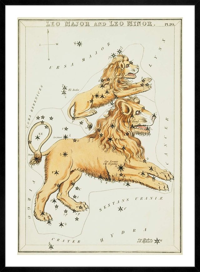 Leo Major And Leo Minor Astrology Antique Print