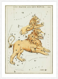 Leo Major And Leo Minor Astrology Antique Print