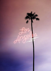 Los Angeles Palm Tree Neon Print