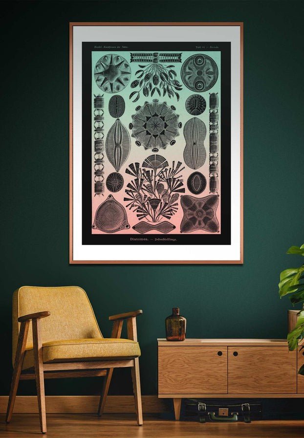 Marine Life Pink and Green Vintage Antique Print