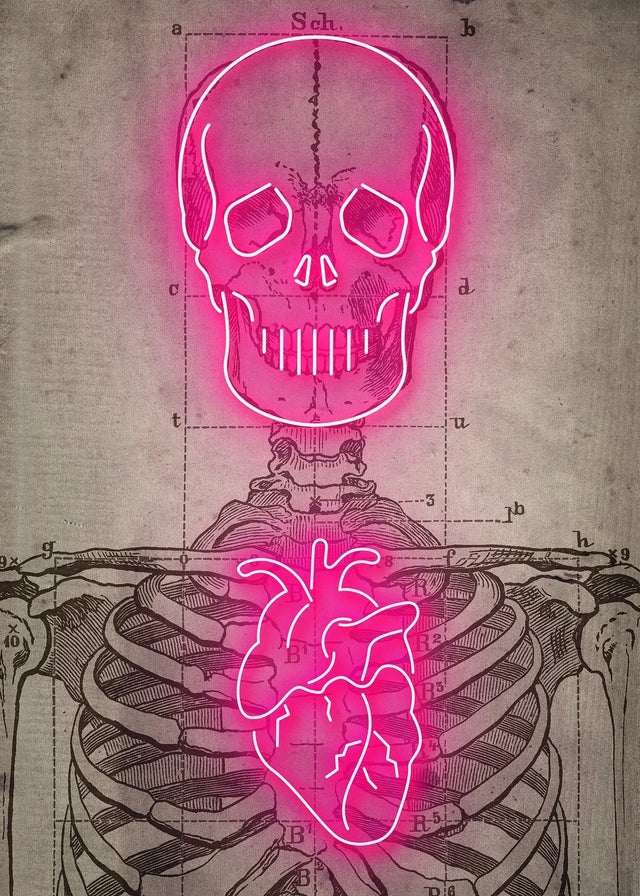 Neon Skeleton Vintage Diagram Print