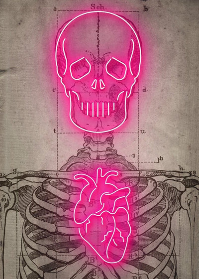 Neon Skeleton Vintage Diagram Print