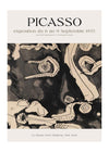 Pablo Picasso Exhibition Museum Poster