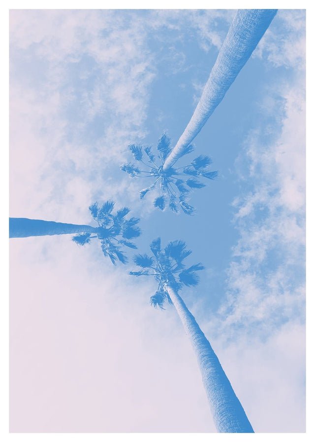 Palm Trees Pink Blend Print