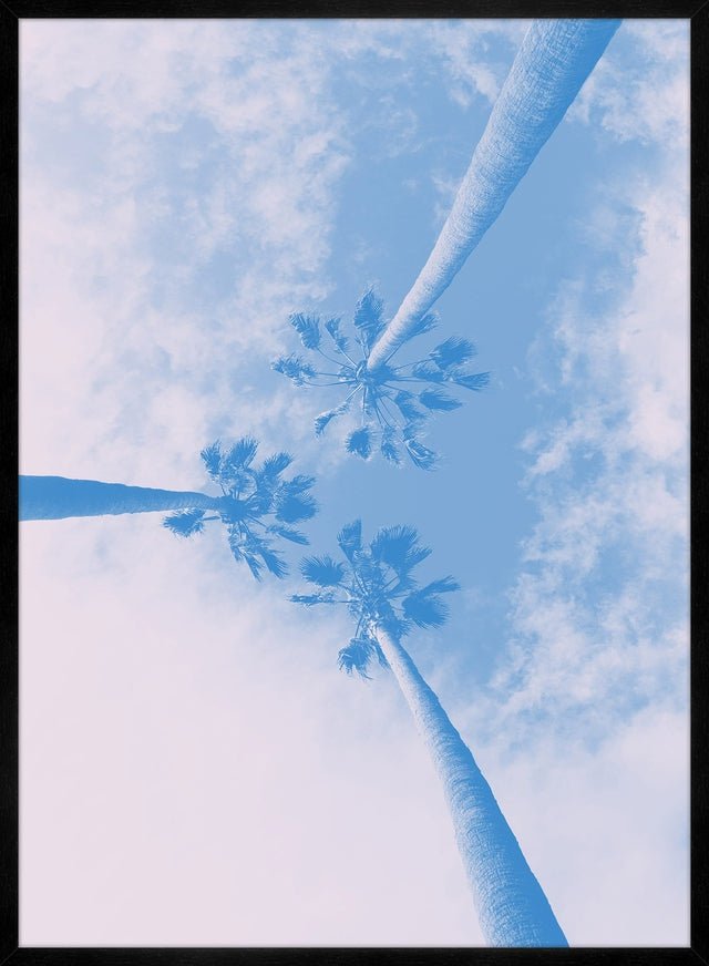 Palm Trees Pink Blend Print