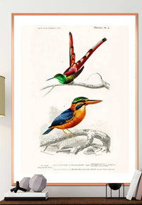 Passerine Vintage Bird Print
