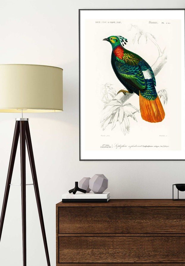 Pheasant Vintage Bird Print
