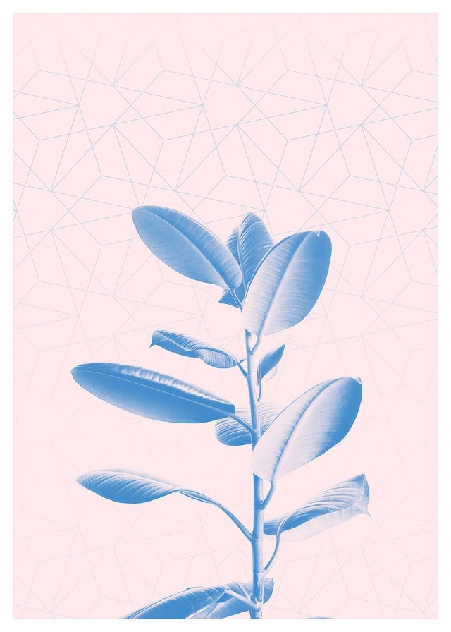 Plant Geometric Pink Blend Print