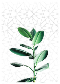 Plant Geometric Print