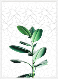 Plant Geometric Print