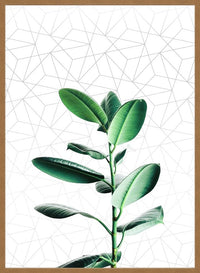 Plant Geometric Print