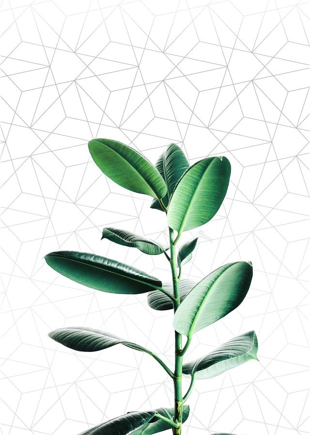 Plant Geometric Print