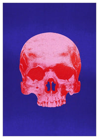 Pop Art Warhol Style Blue & Pink Skull Print
