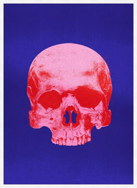 Pop Art Warhol Style Blue & Pink Skull Print