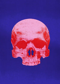Pop Art Warhol Style Blue & Pink Skull Print