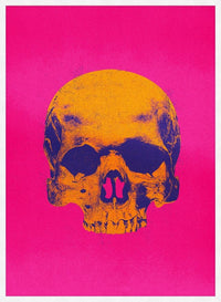 Pop Art Warhol Style Pink & Orange Skull Print