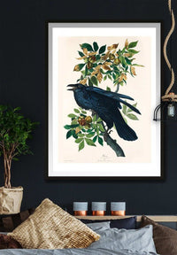 Raven Vintage Bird Print