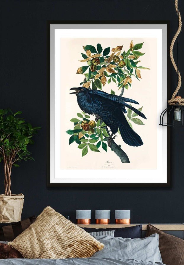 Raven Vintage Bird Print