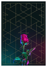 Rose Print